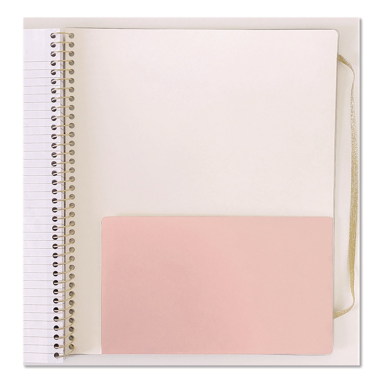 Carolina Pad® Keep It In Line Notebook Organizer, Medium/College Rule, Randomly Assorted Cover Colors and Designs, (100) 11.5 x 9 Sheets