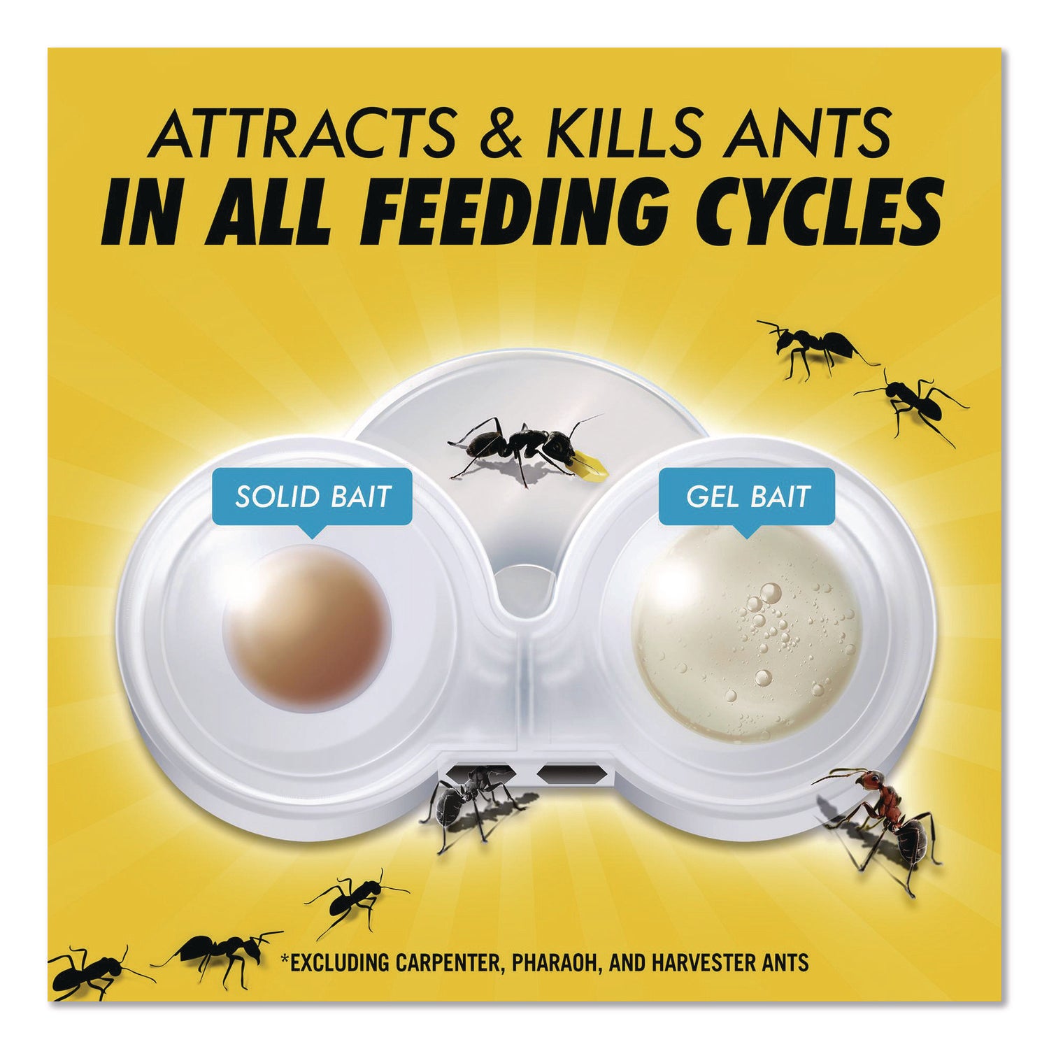 Combat® Max 2-in-1 Ant Bait, 0.84 oz, 4 Bait Stations