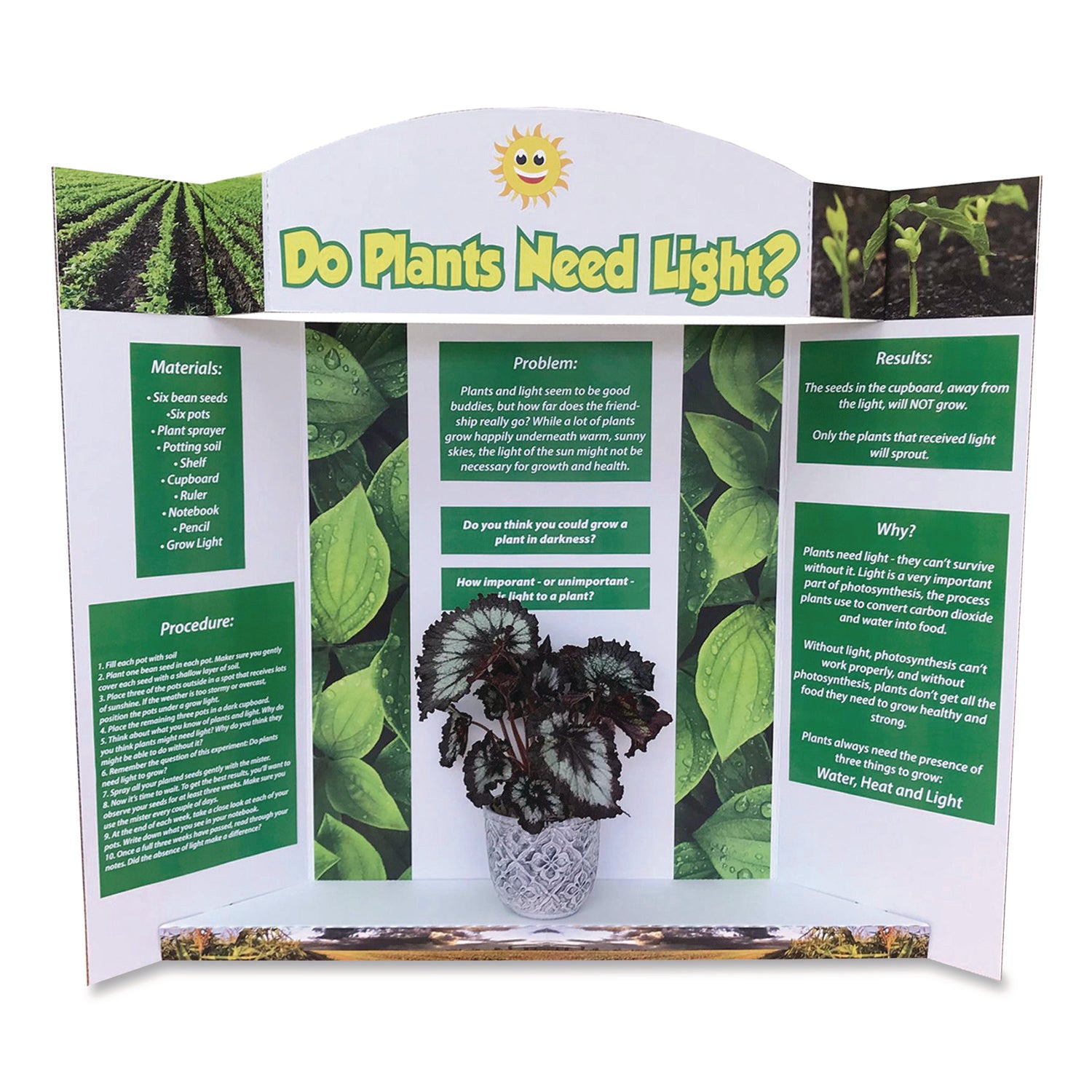 Royal Brites Stage It Display Board, 37" x 44", 1-Ply, Corrugate, White, 5/Pack