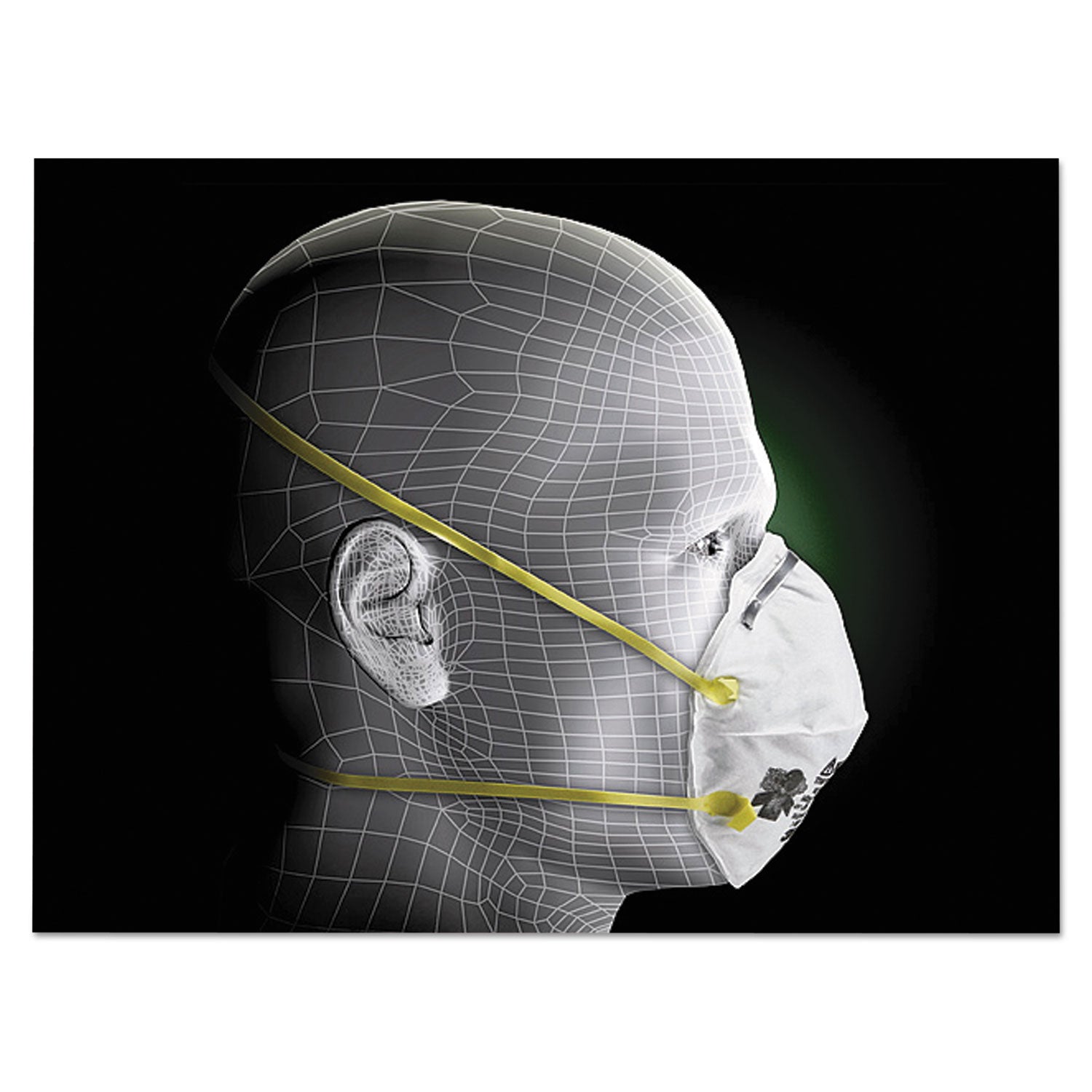 3M™ Lightweight Particulate Respirator 8210, N95, Standard Size, 20/Box