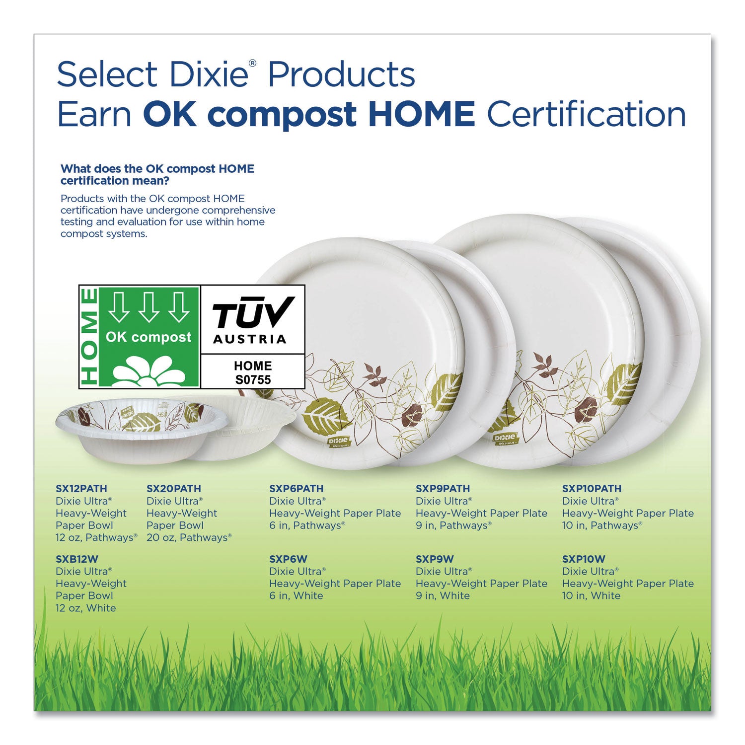 Dixie® Pathways Heavyweight Paper Bowls, 20 Oz, Green/burgundy, 500/carton