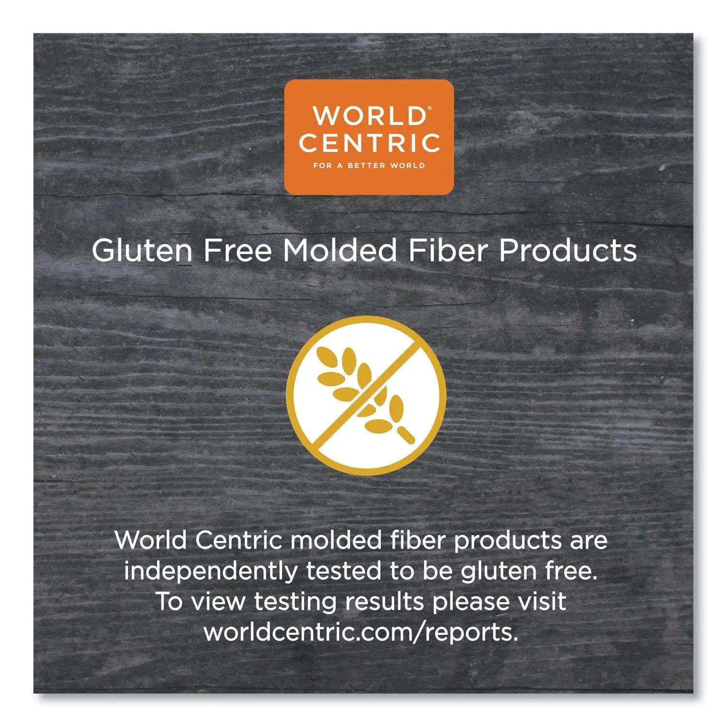 Fiber Trays, 1-Compartment, 9.1 x 7.1 x 0.7, Natural, Paper, 500/Carton World Centric® Flipcost