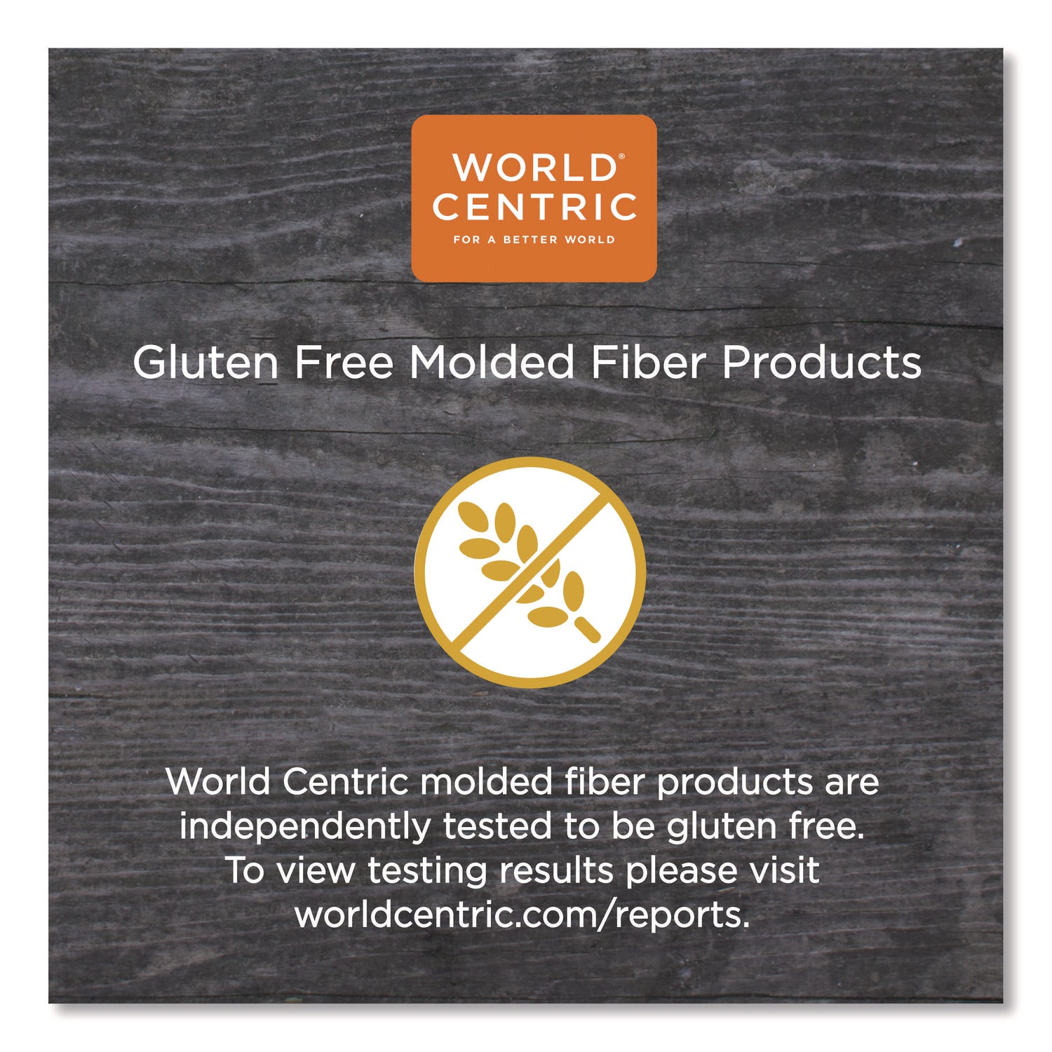 World Centric® Fiber Trays, PLA Lined, PFAS Free, 8.3 x 4.9 x 0.7, Natural, Paper, 500/Carton