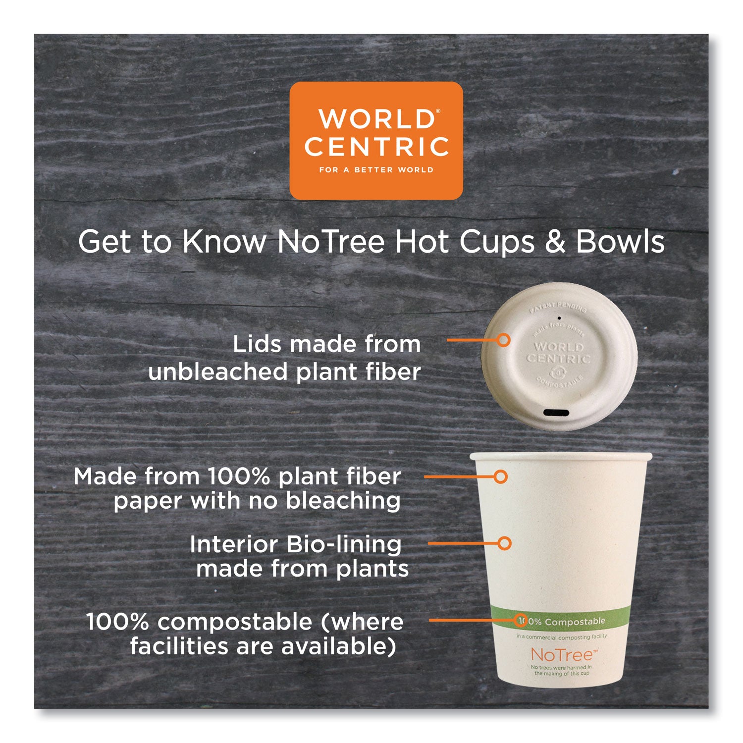 World Centric® No Tree Paper Bowls, 12 oz, 4.4" Diameter x 2.5" h, Natural, Sugarcane, 500/Carton