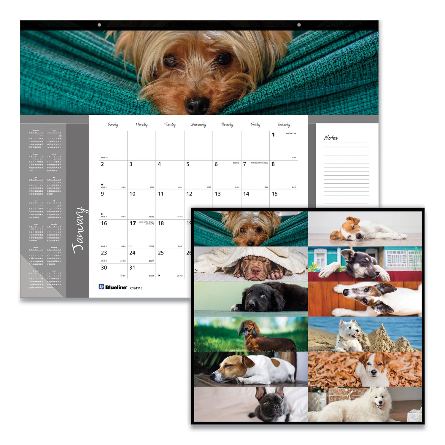 Blueline® Pets Collection Monthly Desk Pad, Puppies Photography, 22 x 17, Black Binding, Clear Corners, 12-Month (Jan to Dec): 2025