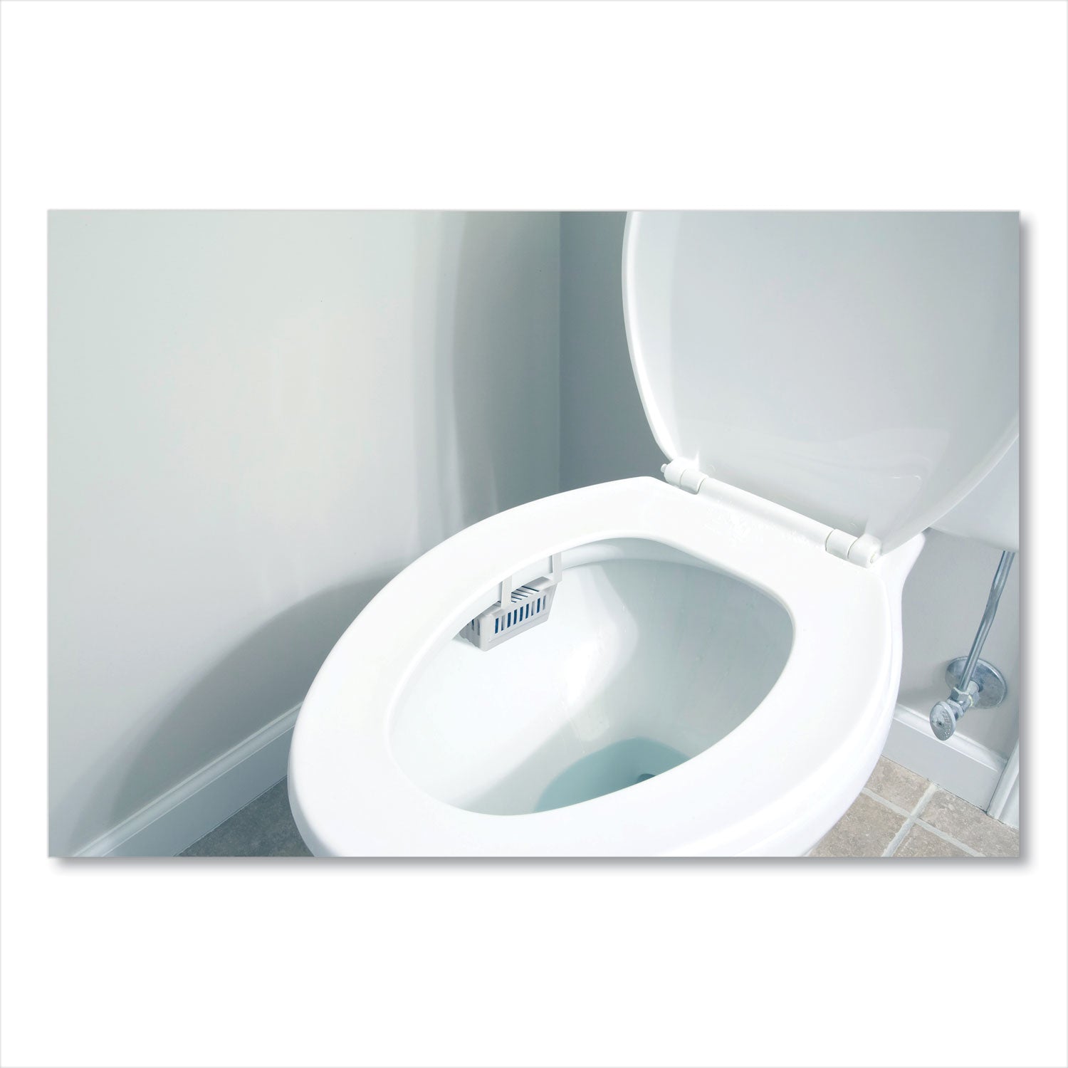 Big D Industries Non-Para Toilet Bowl Block, Lasts 30 Days, Evergreen Scent, White, 12/box