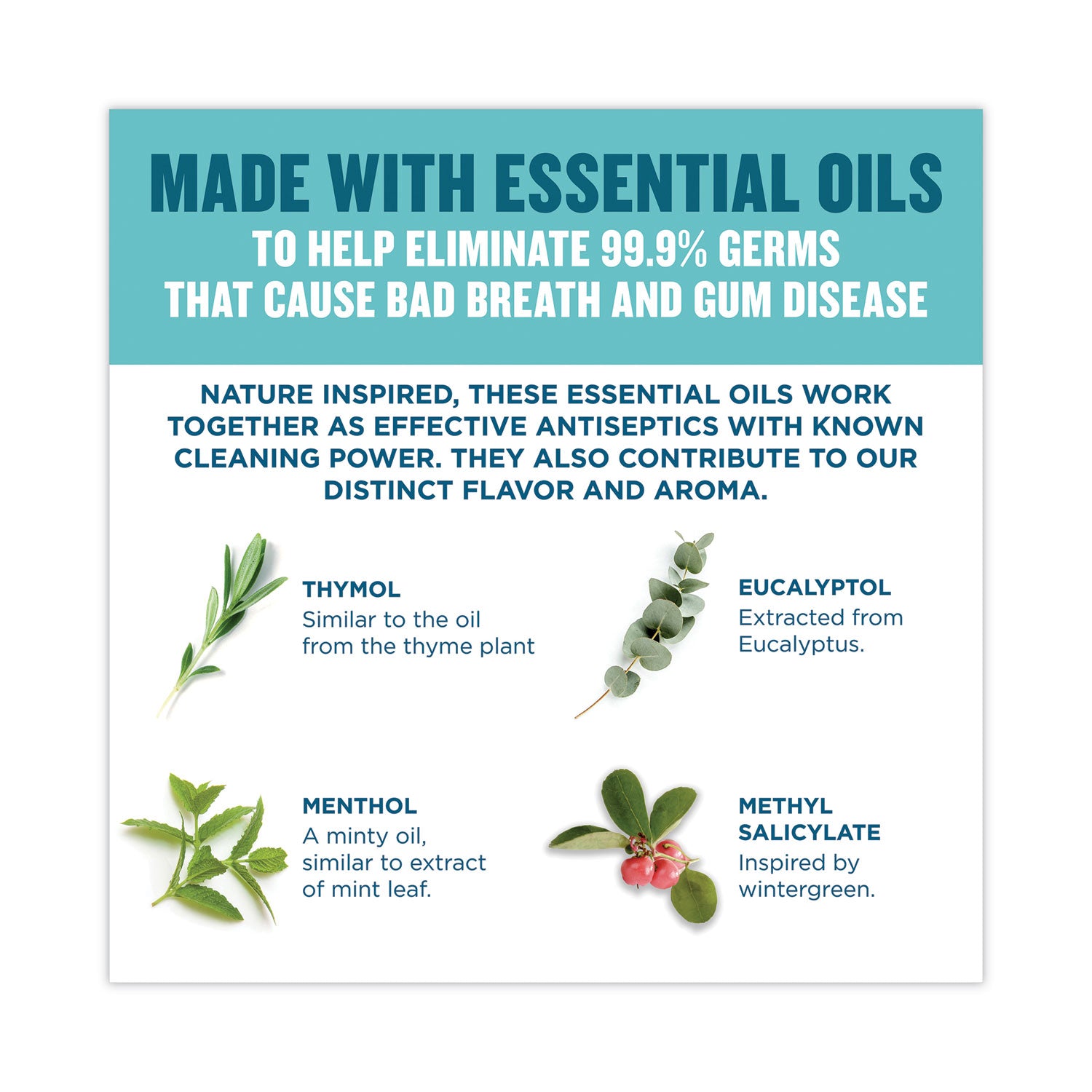 Johnson & Johnson® Listerine Cool Mint Mouthwash, 1 L Bottle