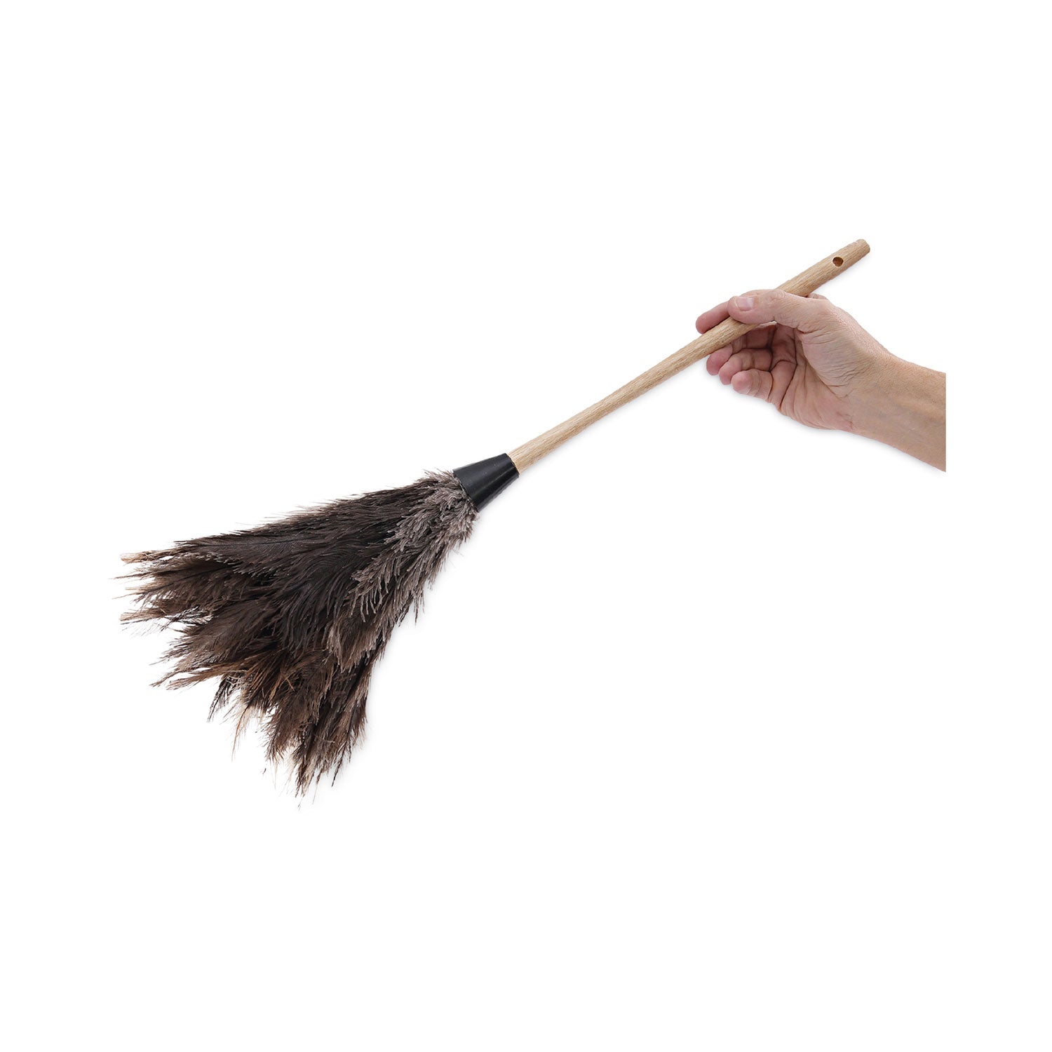 Boardwalk® Professional Ostrich Feather Duster, 13" Wood Handle