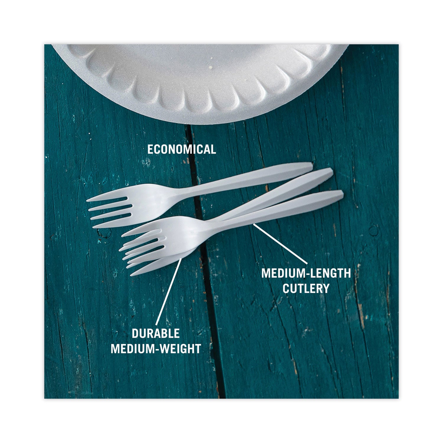 Pactiv Evergreen Fieldware Cutlery, Mediumweight Fork, Plastic, White, 1,000/Carton