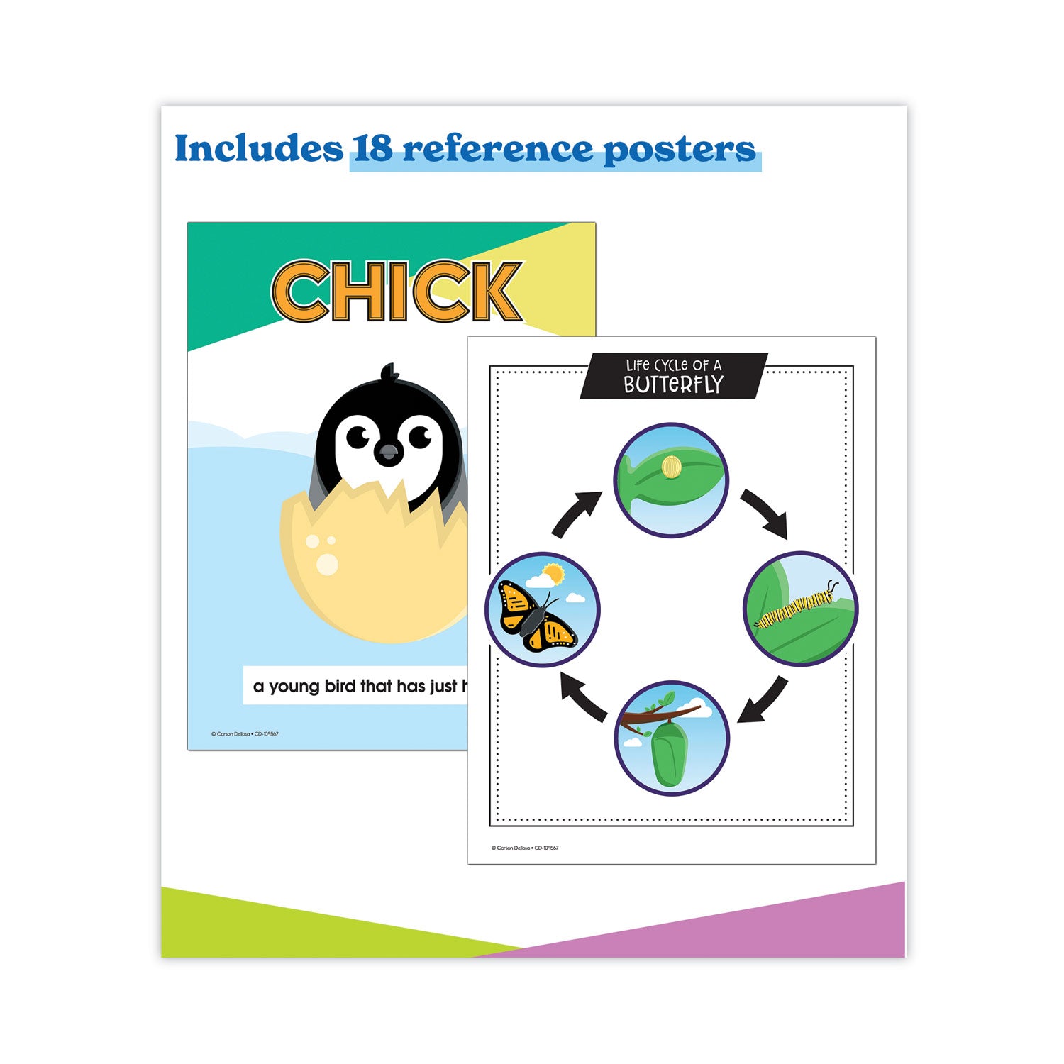 Carson-Dellosa Education In a Flash USB, Animal Lifestyles, Ages 5-8, 225 Pages