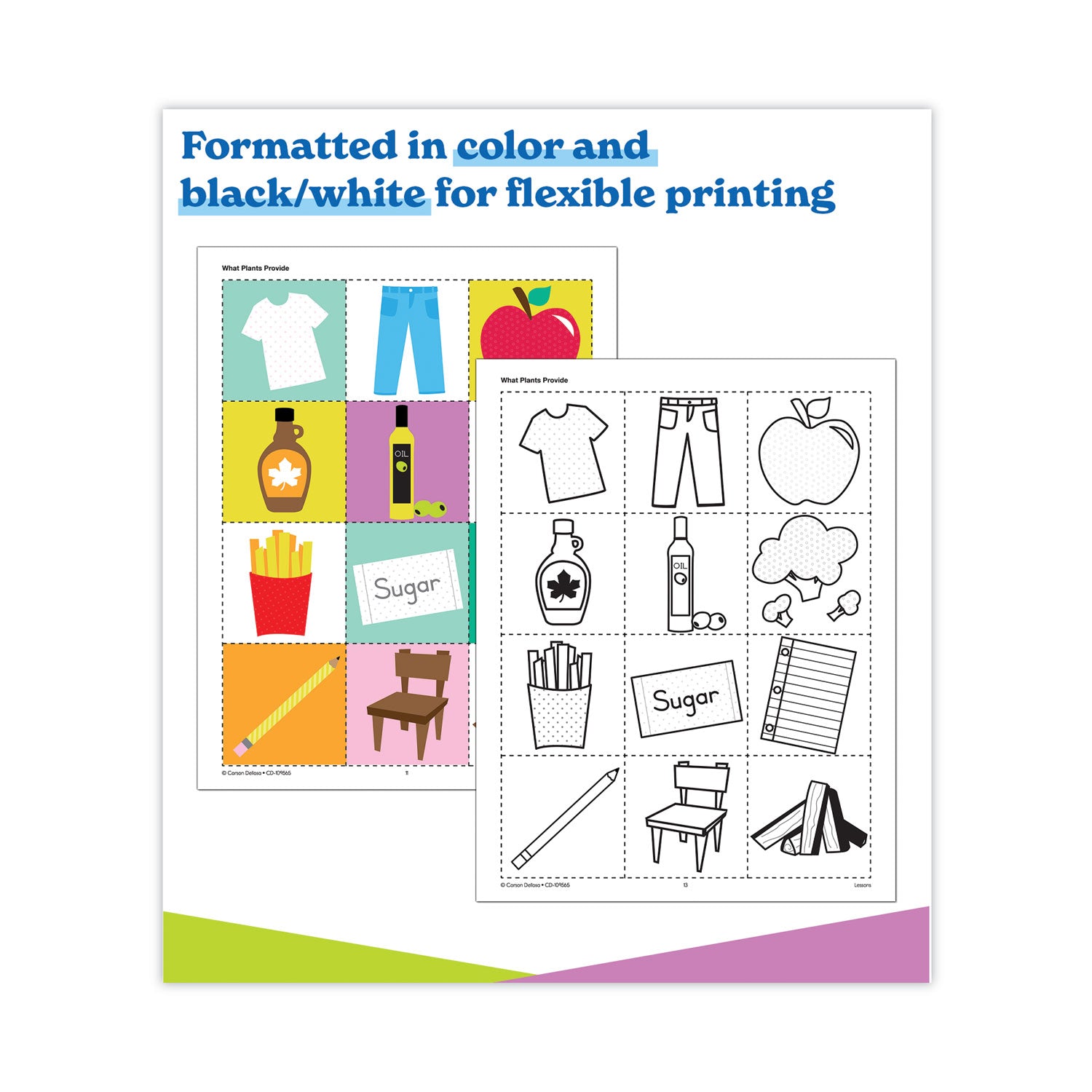 Carson-Dellosa Education In a Flash USB, Plants, Ages 5-8, 191 Pages