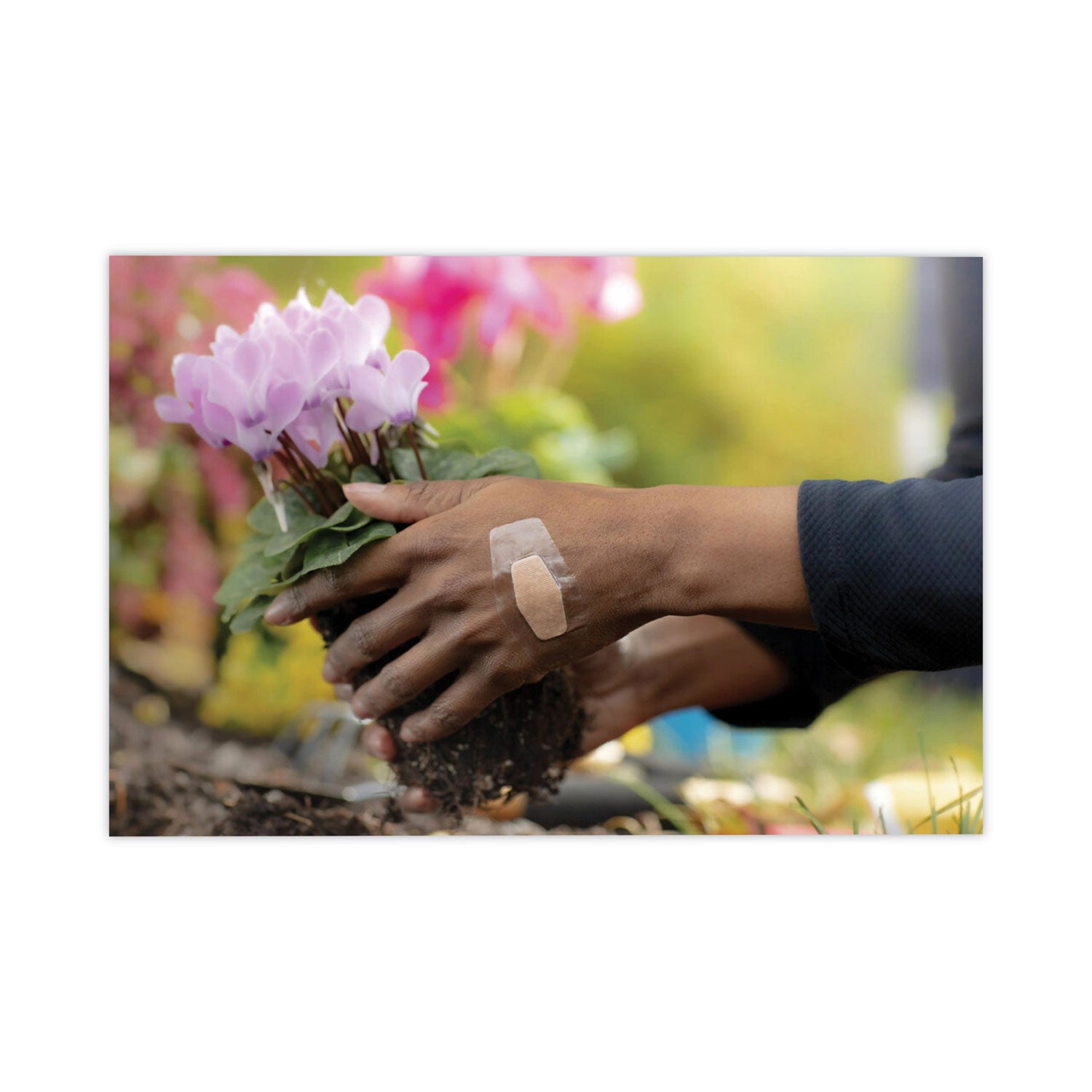 3M Nexcare™ Waterproof, Clear Bandages, Assorted Sizes, 50/box