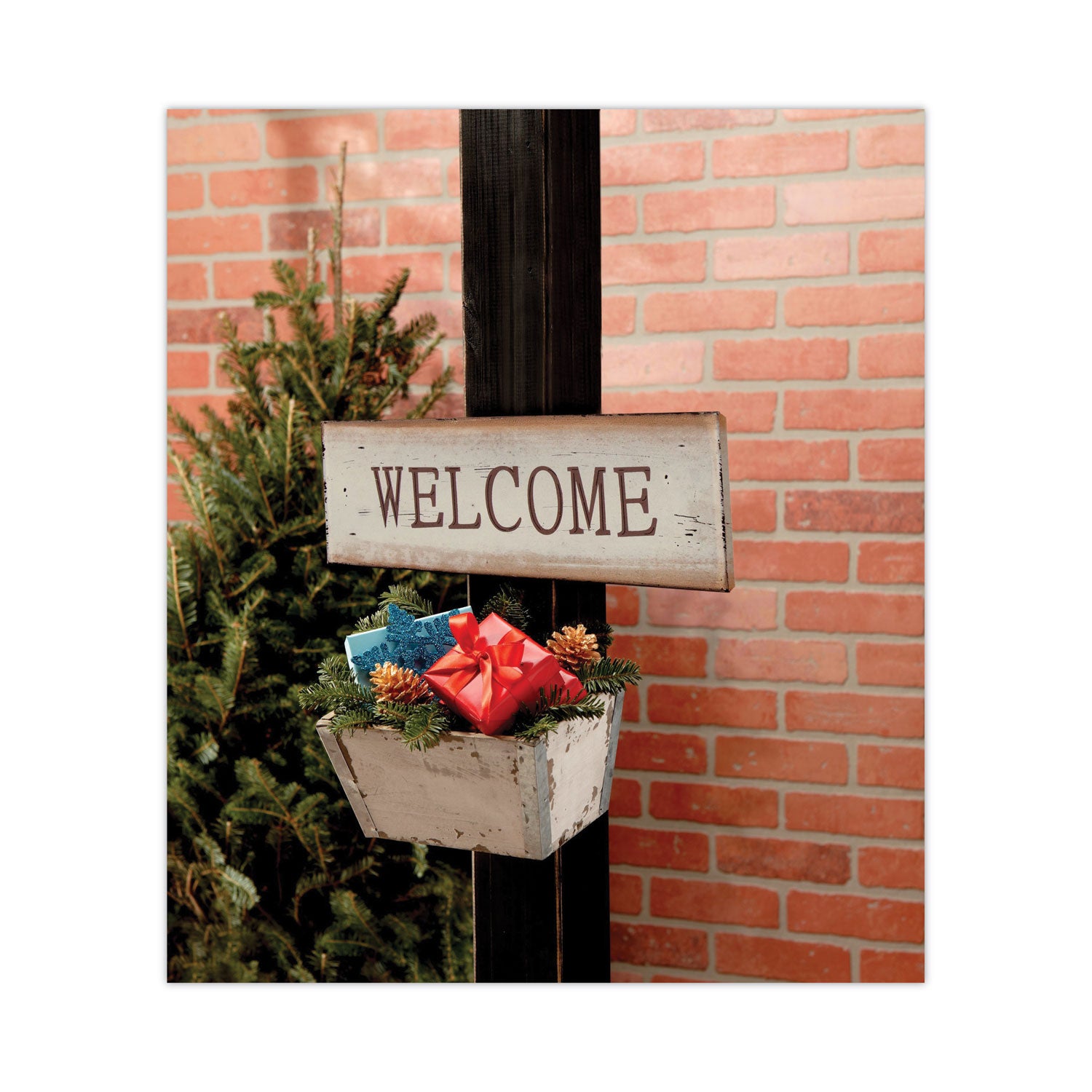 Scotch™ Extreme Fasteners, 1" X 4 Ft, Clear, 2/pack