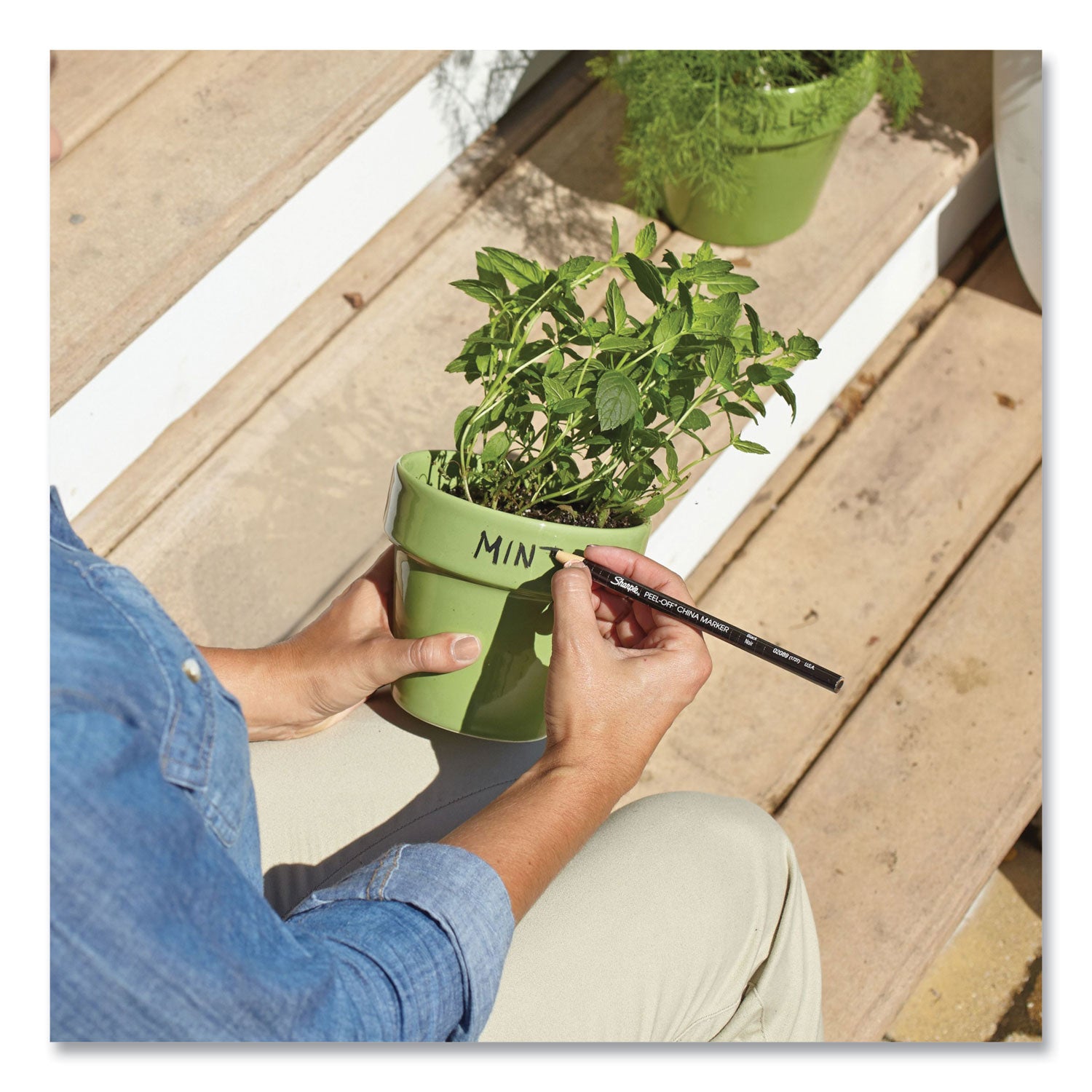 Sharpie® Peel-Off China Markers, Black, Dozen