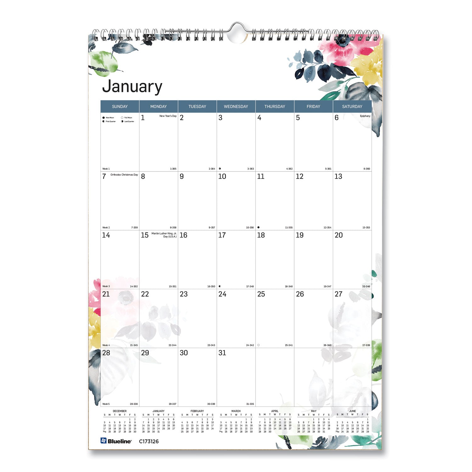12-Month Colorful Wall Calendar, Watercolor Floral Artwork, 12 x 17, White/Multicolor Sheets, 12-Month (Jan to Dec): 2025