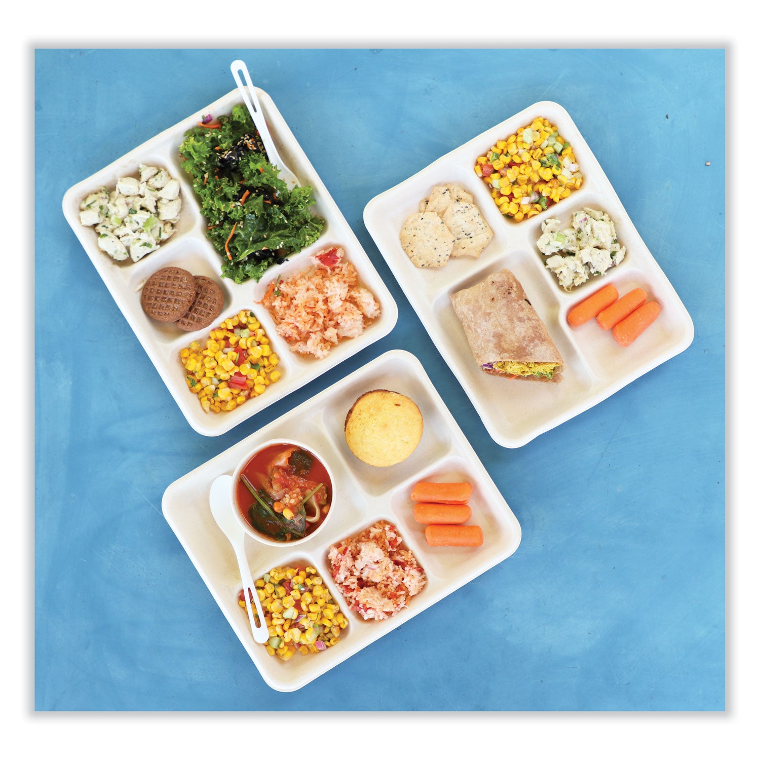 World Centric® Fiber Trays, 5 Compartments, 8.5 x 10.24 x 1.01, Natural, Paper, 400/Carton