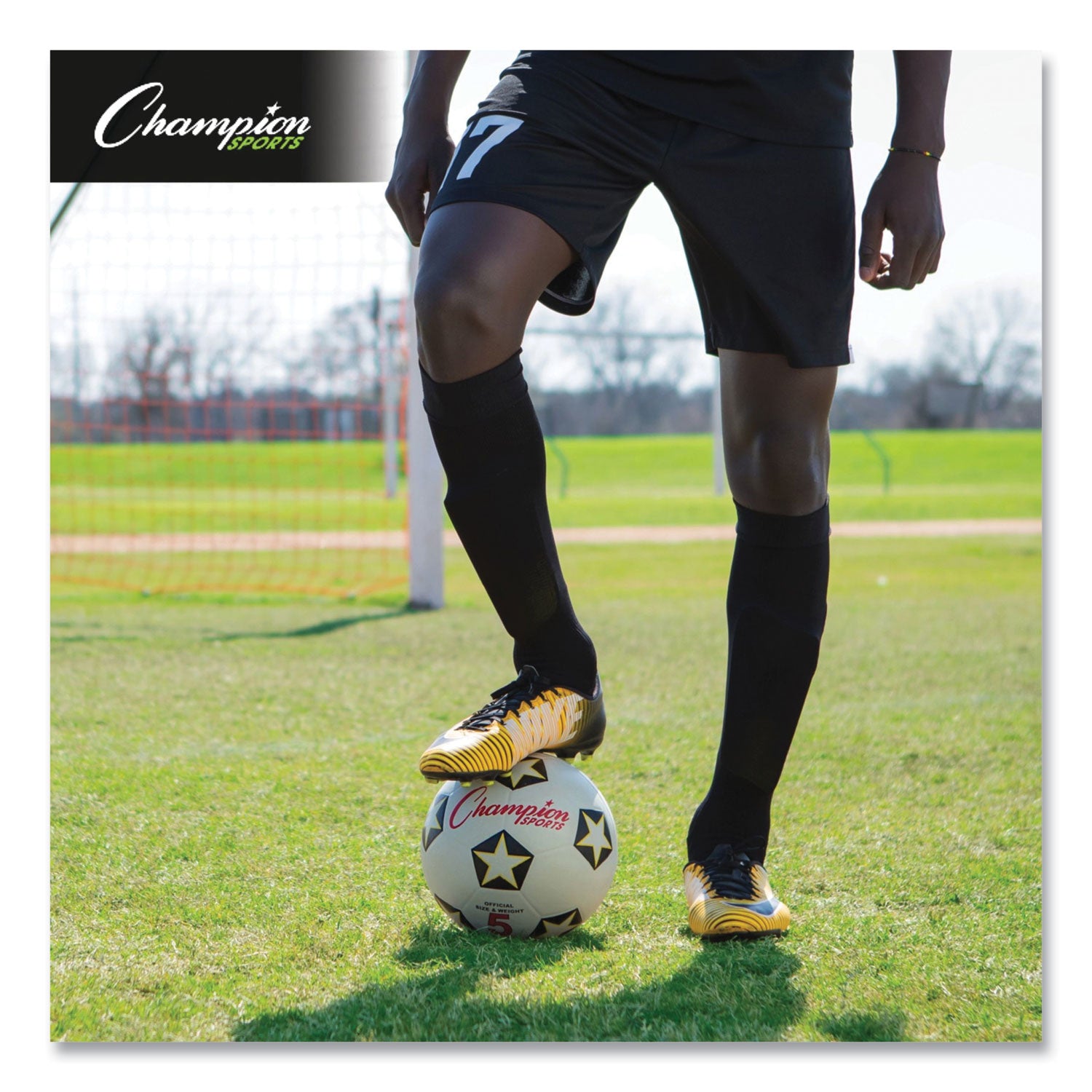 Champion Sports Rubber Sports Ball, For Soccer, No. 5 Size, White/black