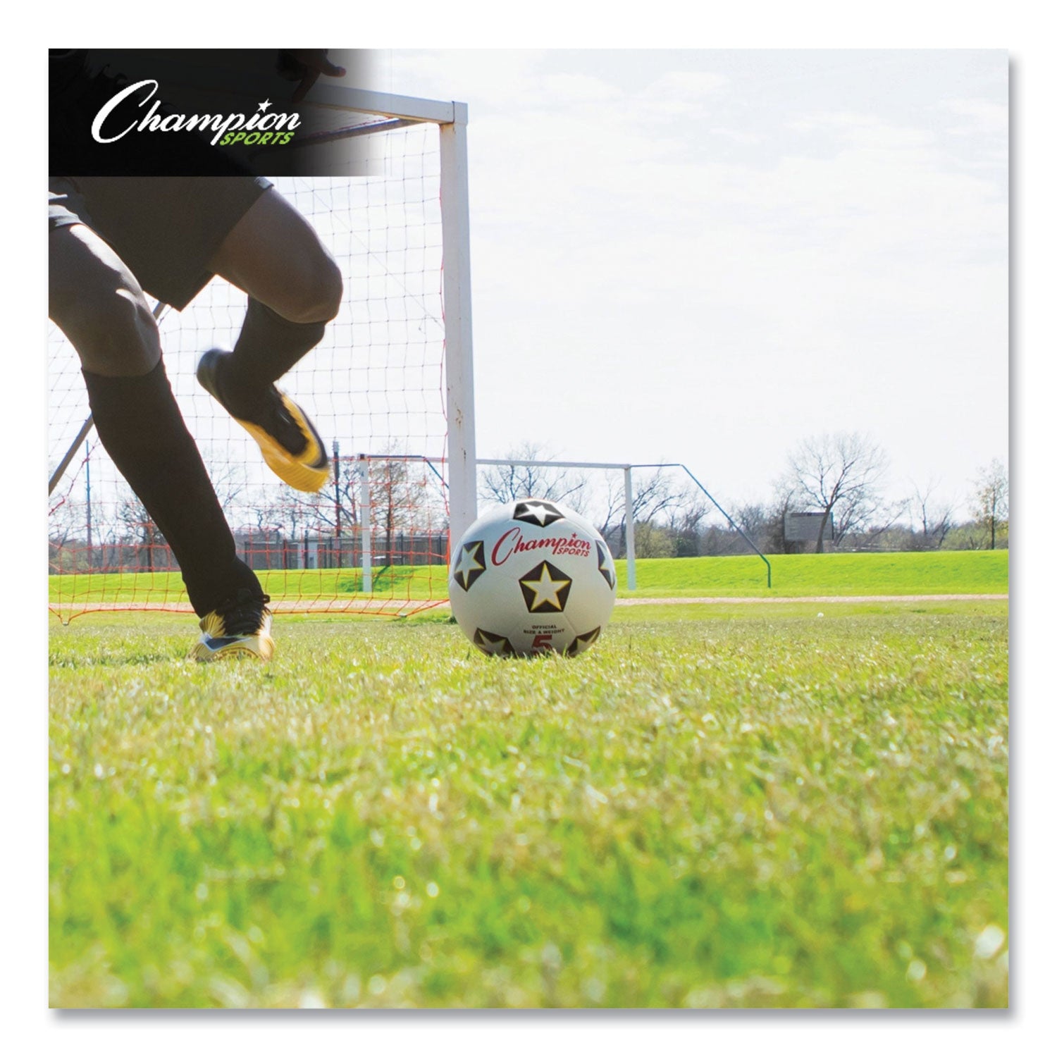 Champion Sports Rubber Sports Ball, For Soccer, No. 5 Size, White/black