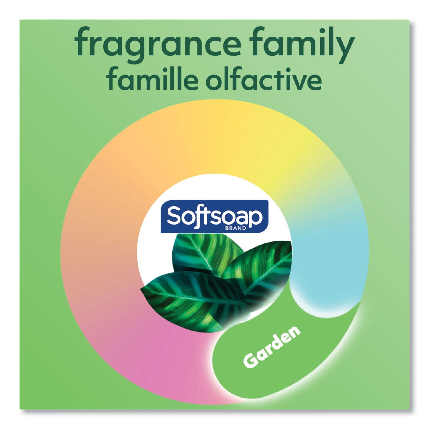 Softsoap® Liquid Hand Soap Refill with Aloe, Aloe Vera Fresh Scent, 1 gal, 4/Carton