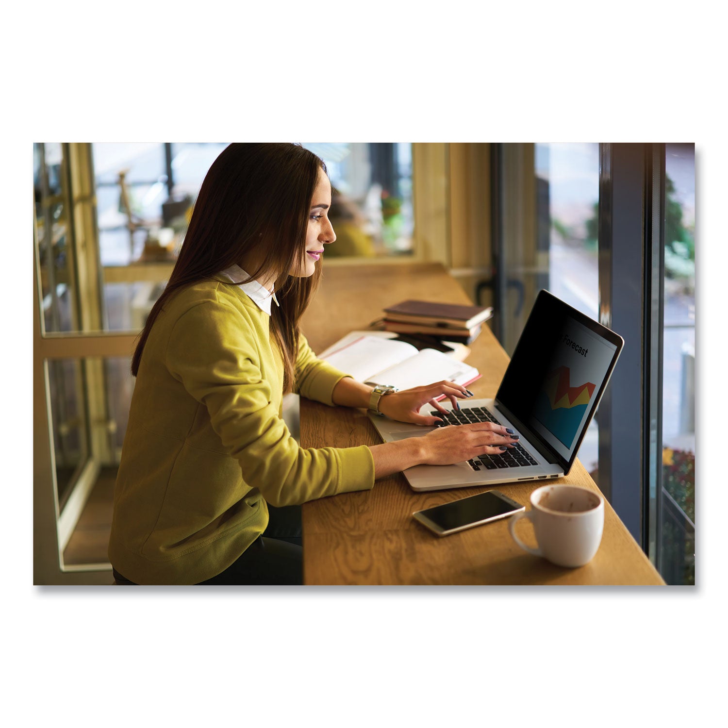 3M™ Bright Screen Privacy Filter for 13.5" 2-in-1