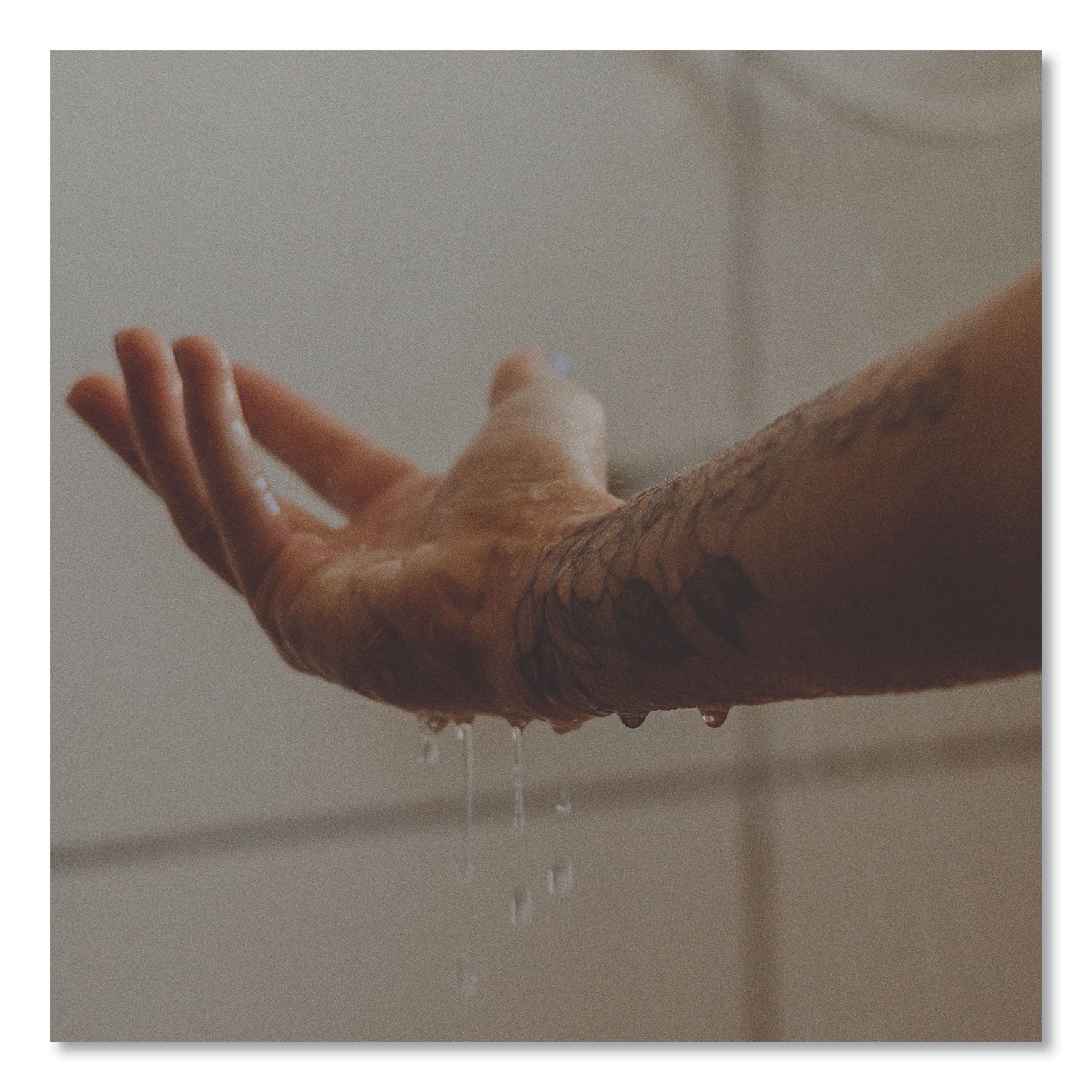 Guild+Pepper® Shower Gel, Warm Oak Scent, 12.2 oz, 12/Carton