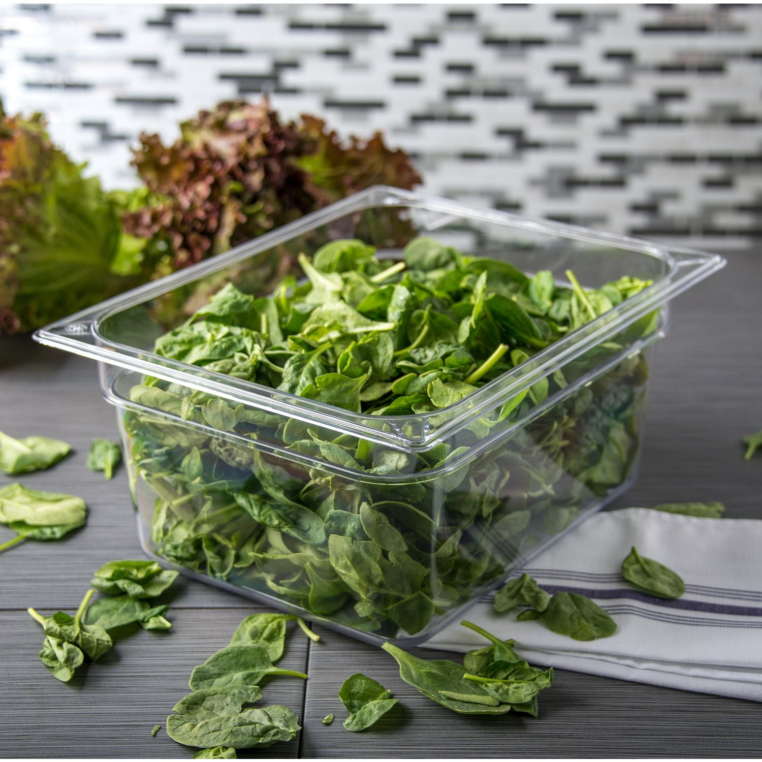 Carlisle StorPlus Polycarbonate Food Pan, 8.7 qt, 10.38 x 12.75 x 6, Clear, Plastic