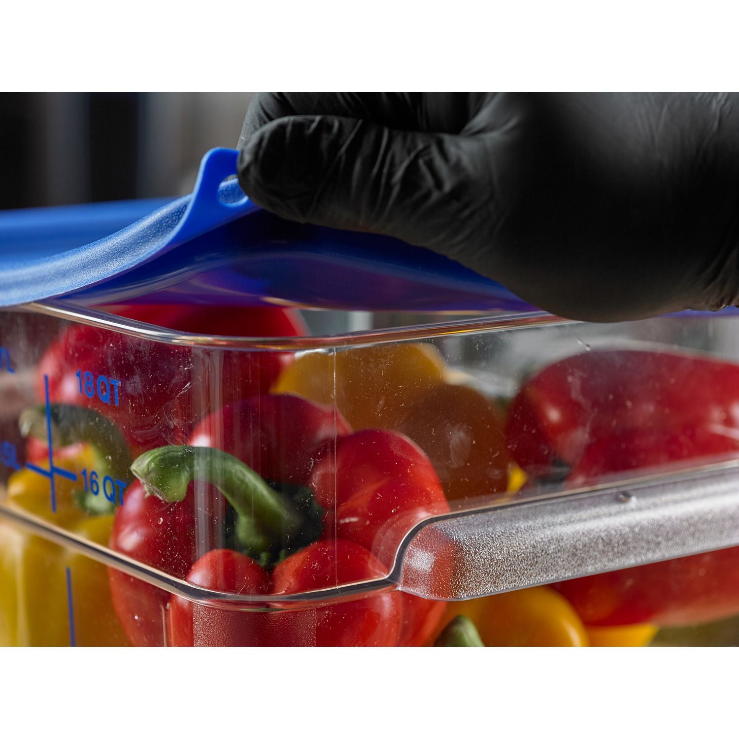 Carlisle Squares Food Storage Container Lid, 11.38 x 11.38 x 0.63, Blue, Plastic