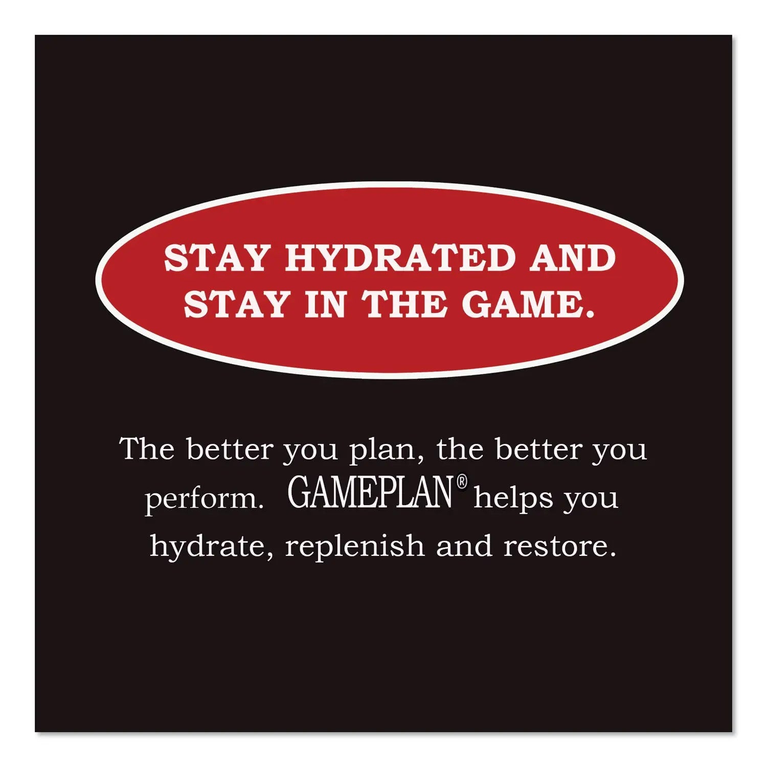 Niagara® Bottling Gameplan Sports Drink, Fruit Punch, 20 oz Bottle, 24/Carton Niagara® Bottling Flipcost