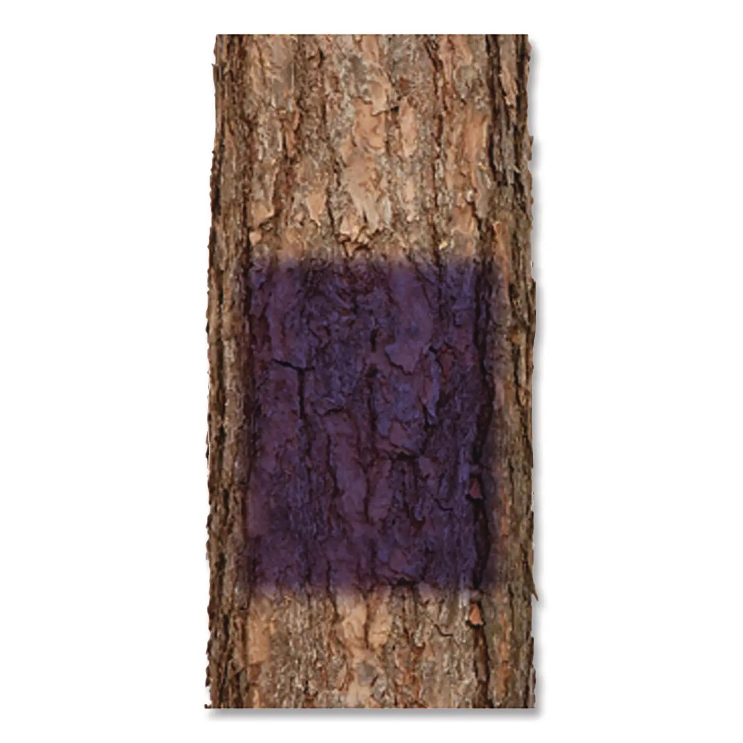 Specialty No Hunting Purple Spray Paint, Flat No Hunting Purple, 12 oz Aerosol Can, 6/Carton Rust-Oleum® Flipcost